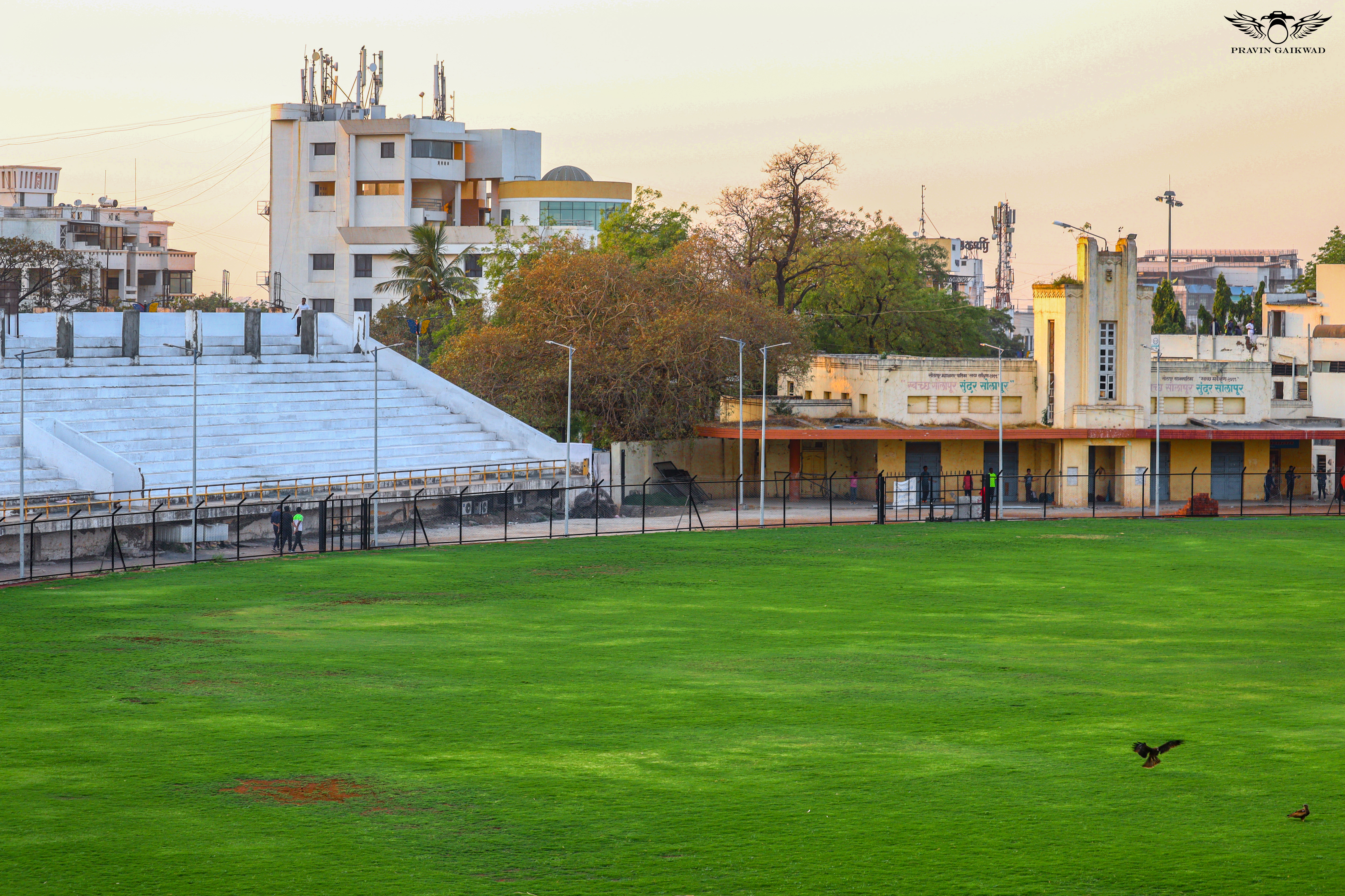 Cricket Ground