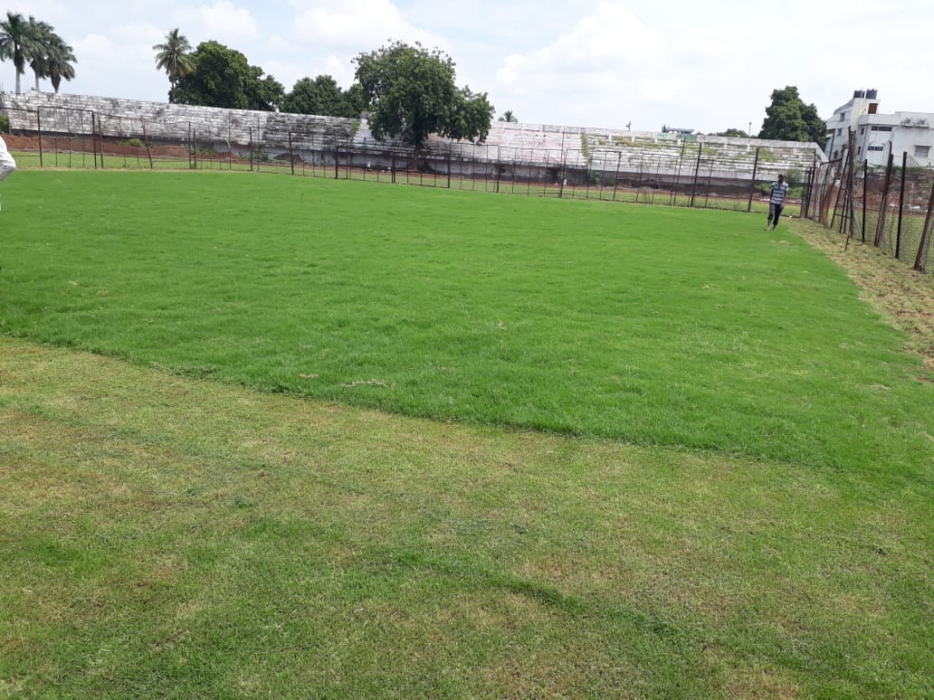 Cricket Ground