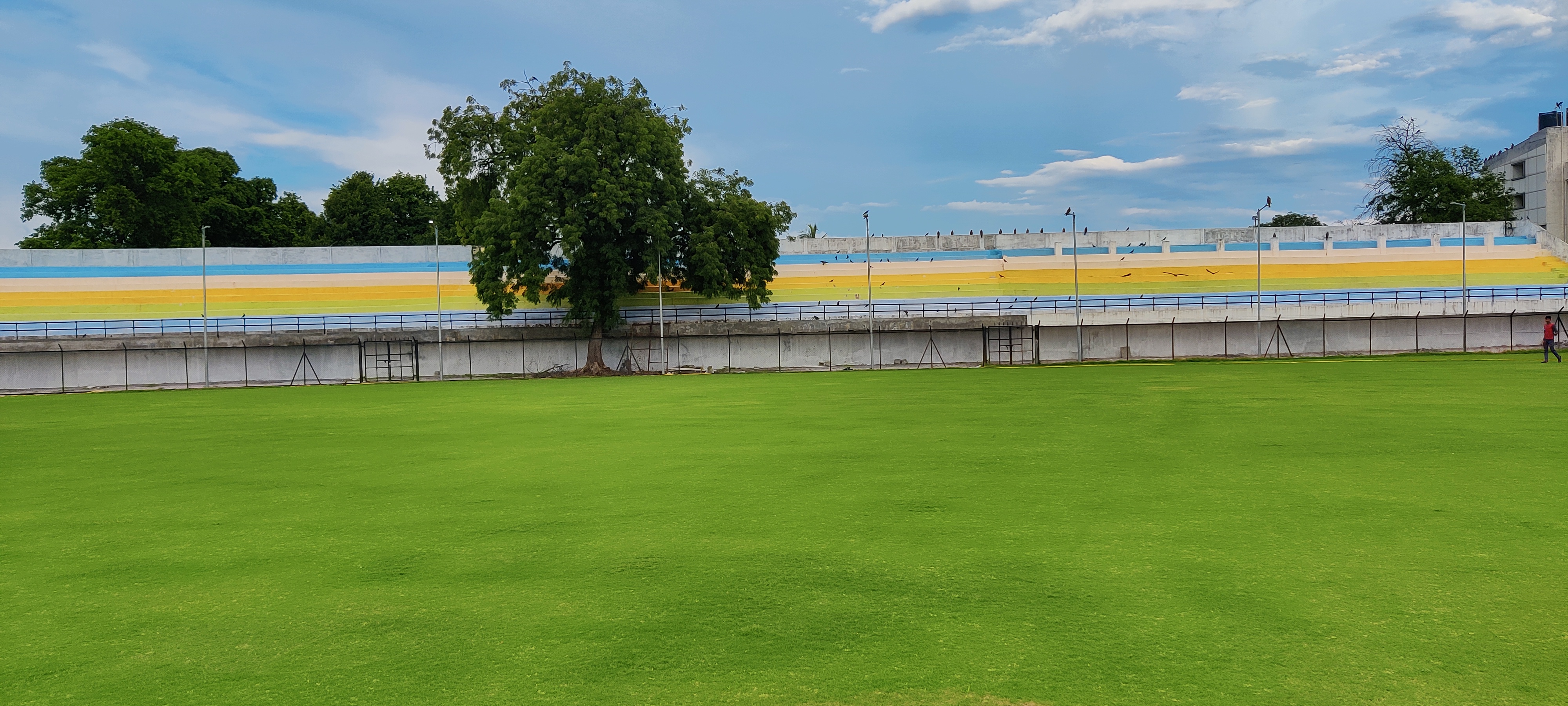 Cricket Ground